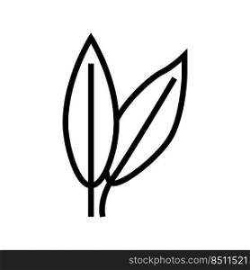 cherry leaf line icon vector. cherry leaf sign. isolated contour symbol black illustration. cherry leaf line icon vector illustration