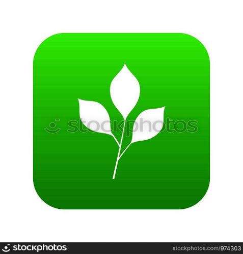 Cherry leaves icon digital green for any design isolated on white vector illustration. Cherry leaves icon digital green
