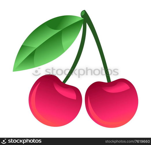 Cherry on branch vector, isolated icon of cherry with leaf. Foliage and ripe fruit, berry lush product organic meal. Vegetarian food rich in vitamins. Spring Cherry Juicy Fruit with Foliage Berry Icon