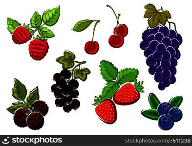 Cherry, strawberry, grape, blueberry, blackberry, raspberry and currant berries isolated on white. For dessert food and agriculture design usage. Isolated garden and wild berries fruits