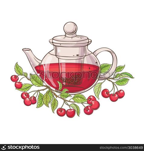 cherry tea in teapot. cherry tea vector illustration on white background