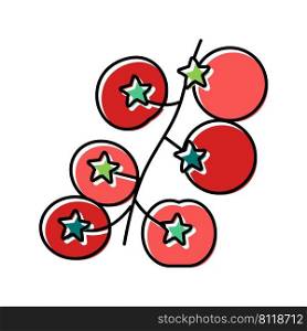 cherry tomato color icon vector. cherry tomato sign. isolated symbol illustration. cherry tomato color icon vector illustration