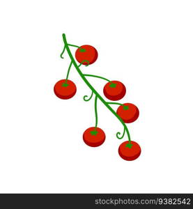 Cherry tomato. Red vegetable on branch. Flat cartoon isolated on white background. Harvesting and Vegetarian food. Cherry tomato. Red vegetable on branch.