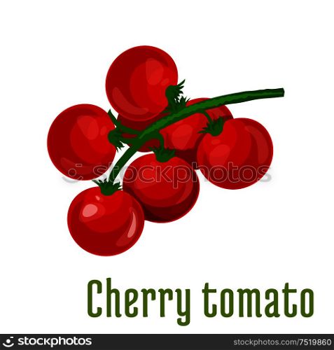 Cherry tomato vegetable icon. Bunch of cherry tomatoes on stem with leaves. Fresh food product element for sticker, grocery shop, farm store element. Cherry tomato vegetable icon