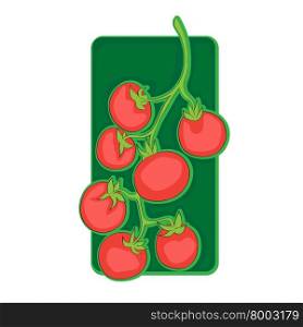 Cherry tomatoes clip art, doodle illustration isolated on white