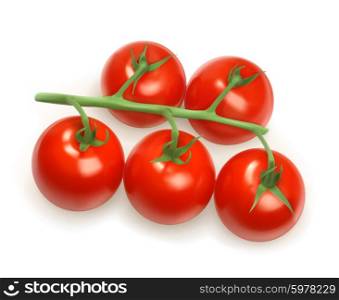 Cherry tomatoes, vector illustration