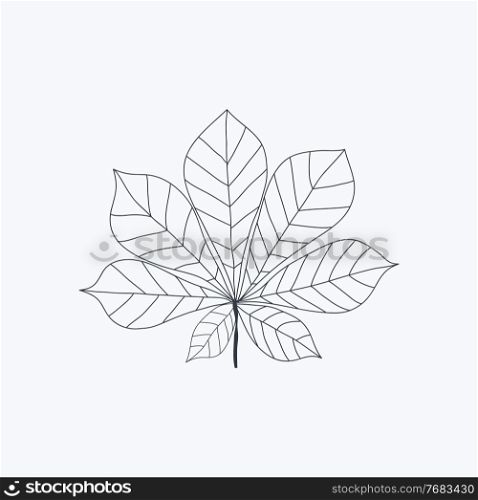 Chestnut leaf icon isolated. Vector Illustration EPS10. Chestnut leaf icon isolated on white. Vector Illustration
