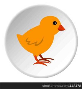 Chick icon in flat circle isolated vector illustration for web. Chick icon circle