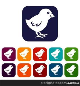 Chick icons set vector illustration in flat style In colors red, blue, green and other. Chick icons set flat