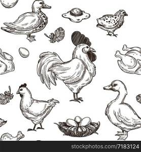 Chicken and ducks sketch pattern background. Vector seamless design of farm poultry, fowl hen and cock or goose sitting on eggs and hatching chicks in nest. Chicken and ducks sketch pattern background. Vector seamless