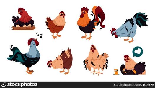 Chicken and rooster. Cute poultry farm characters, cartoon chick with baby chickens isolated. Vector illustrations colourful domestic birds set on white background. Chicken and rooster. Cute poultry farm characters, cartoon chick with baby chickens isolated. Vector domestic birds set