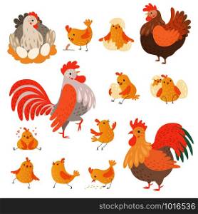 Chicken and rooster. Funny domestic farm animals birds eggs pollo vector cartoon characters. Character chicken farm, rooster illustration. Chicken and rooster. Funny domestic farm animals birds eggs pollo vector cartoon characters