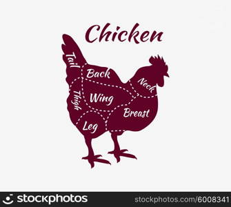 Chicken cuts diagram. Chicken bird isolated. Typographic chicken butcher cuts diagram vintage style. Cartoon chicken. Chicken, bird, farm bird meat. Vector chicken. Chicken animal. Silhouette chicken