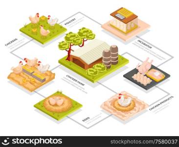 Chicken farm isometric flowchart with set of square platforms images of chickens buildings and semi-products vector illustration