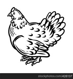 Chicken icon. Hand drawn illustration of chicken vector icon for web design. Chicken icon, hand drawn style