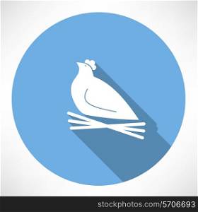 chicken in the nest icon. Flat modern style vector illustration
