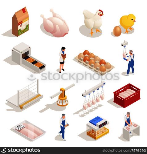 Chicken poultry production farm isometric elements set with hen eggs incubator hatched chicken meat packaging vector illustration