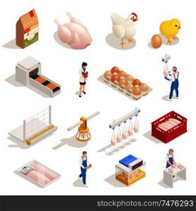 Chicken poultry production farm isometric elements set with hen eggs incubator hatched chicken meat packaging vector illustration
