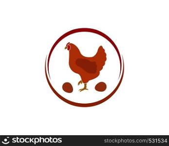 chicken vector illustration design