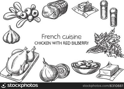 Chicken with Red Bilberry. Creative conceptual vector. Sketch hand drawn french food recipe illustration, engraving, ink, line art, vector.
