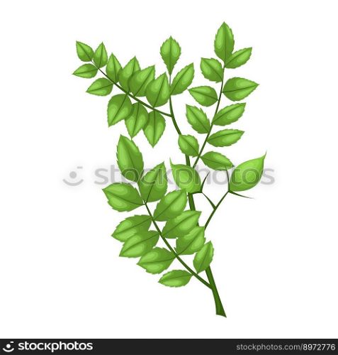 chickpea plant cartoon. agriculture bean, chick diet, fresh food, health ingredient, nutrition natural chickpea plant vector illustration. chickpea plant cartoon vector illustration