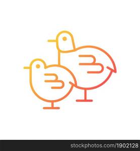 Chicks gradient linear vector icon. Small fluffy newborn birds. Yellow chicken. Commercial poultry raising in incubator. Thin line color symbol. Modern style pictogram. Vector isolated outline drawing. Chicks gradient linear vector icon