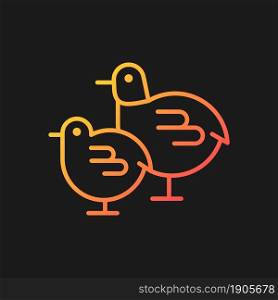 Chicks gradient vector icon for dark theme. Small fluffy newborn birds. Commercial poultry raising in incubator. Thin line color symbol. Modern style pictogram. Vector isolated outline drawing. Chicks gradient vector icon for dark theme