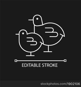 Chicks linear icon for dark theme. Small fluffy birds. Yellow baby chicken. Livestock husbandry. Thin line customizable illustration. Isolated vector contour symbol for night mode. Editable stroke. Chicks linear icon for dark theme