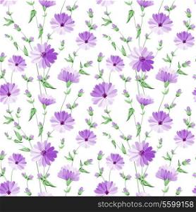 Chicory seamless pattern on white background. Vector illustration.