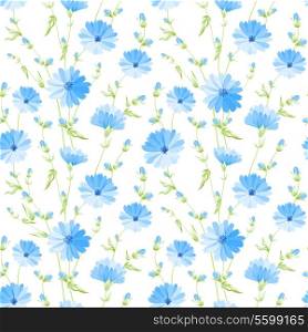 Chicory seamless pattern on white background. Vector illustration.