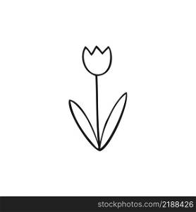 Children&rsquo;s drawing of a Tulip made of lines on a white background. Simple children&rsquo;s Doodle drawing of flowers. Pencil sketch by hand, vector illustration. Coloring book for children flower bell.
