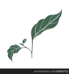 Chili pepper leaves icon. Color silhouette of green leaf