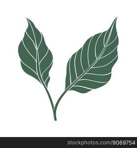 Chili pepper leaves icon. Color silhouette of green leaf