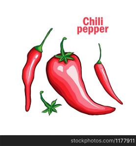 Chili single pepper hand drawn vector illustration with handwritten lettring. Traditional mexican food ingredient cartoon symbol. Natural spicy vegetables, tasty organic spices. Delicious red jalapeno. Hot chili pepper flat vector illustration