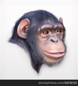 Chimpanzee head, realistic vector illustration