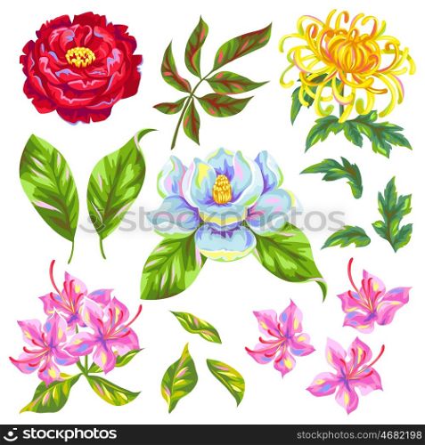 China flowers set. Bright buds of magnolia, peony, rhododendron and chrysanthemum.