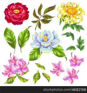 China flowers set. Bright buds of magnolia, peony, rhododendron and chrysanthemum.