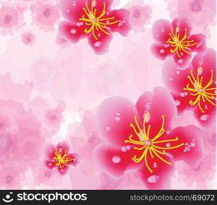 Chinese new year background blooming sakura branches