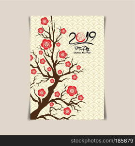 Chinese New Year Background. White Blooming Sakura Branches on Red Backdrop