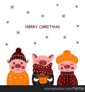 Chinese New Year.Three cute pigs. Cartoon animals. The year of the pig. Vector illustration.