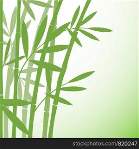 Chinese or japanese bamboo grass oriental wallpaper stock vector illustration. Tropical asian plant background
