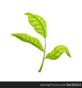 chinese tea leaf cartoon. herbal branch, bud steam, fresh drink chinese tea leaf vector illustration. chinese tea leaf cartoon vector illustration
