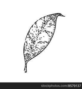 chinese tea leaf hand drawn vector. herbal branch, bud steam, fresh drink chinese tea leaf sketch. isolated black illustration. chinese tea leaf sketch hand drawn vector