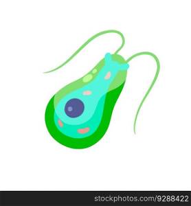 Chlamydomonas plankton. Small unicellular green animal with antennae and flagella. Flat cartoon. Chlamydomonas plankton. Small unicellular
