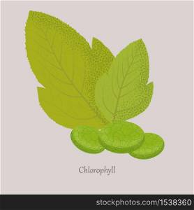 Chlorophyll is a green photosynthetic pigment in the leaves of plants. Green leaves and chlorophyll molecules on a gray background.. Chlorophyll is a green photosynthetic pigment in the leaves of plants.