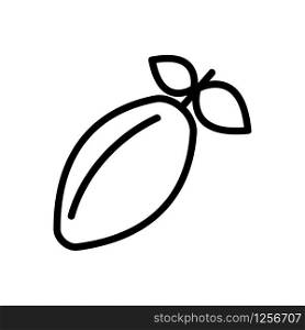 chocolate beans icon vector. Thin line sign. Isolated contour symbol illustration. chocolate beans icon vector. Isolated contour symbol illustration