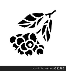 chokeberry berry branch glyph icon vector. chokeberry berry branch sign. isolated contour symbol black illustration. chokeberry berry branch glyph icon vector illustration