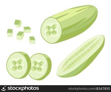 Chopped and sliced squash plant, fresh zucchini vegetable for cooking and preparing food and meal. Delicious and tasty ingredients for dishes. Dieting and nutrition for vegans. Vector in flat. Fresh zucchini chopped and sliced squash plant