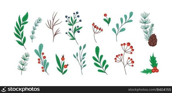 Christmas branch. Holly twig. Pine stems and cones. Hand drawn winter plant. Xmas sketch. Mistletoe leaves and flowers. Rowan berries. Doodle floral botanical. Vector illustration tidy elements set. Christmas branch. Holly twig. Pine stems and cones. Hand drawn winter plant sketch. Mistletoe leaves and flowers. Rowan berries. Doodle floral botanical. Vector illustration elements set