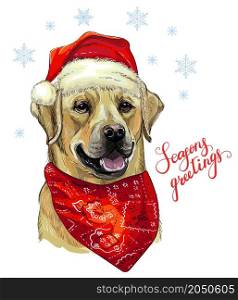 Christmas card. Funny labrador dog portrait in christmas hat, scarf, snowflakes and lettering. Vector illustration. For decor, design, print, posters, stickers, t-shirt and embroidery. Christmas dog labrador vector hand drawn illustration